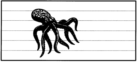 Drawing: Blue-ringed octopus