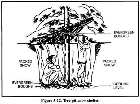 Drawing: Tree-pit snow shelter.